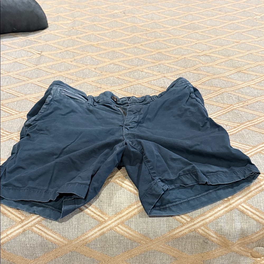 American Eagle Outfitters Dark Blue Men's Shorts